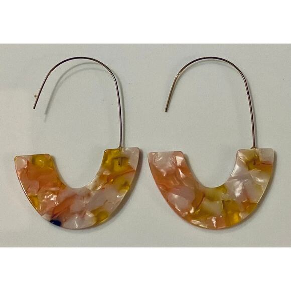 Multi Color Tortoise Shell Acrylic Wire Loop Earrings - Picture 1 of 1
